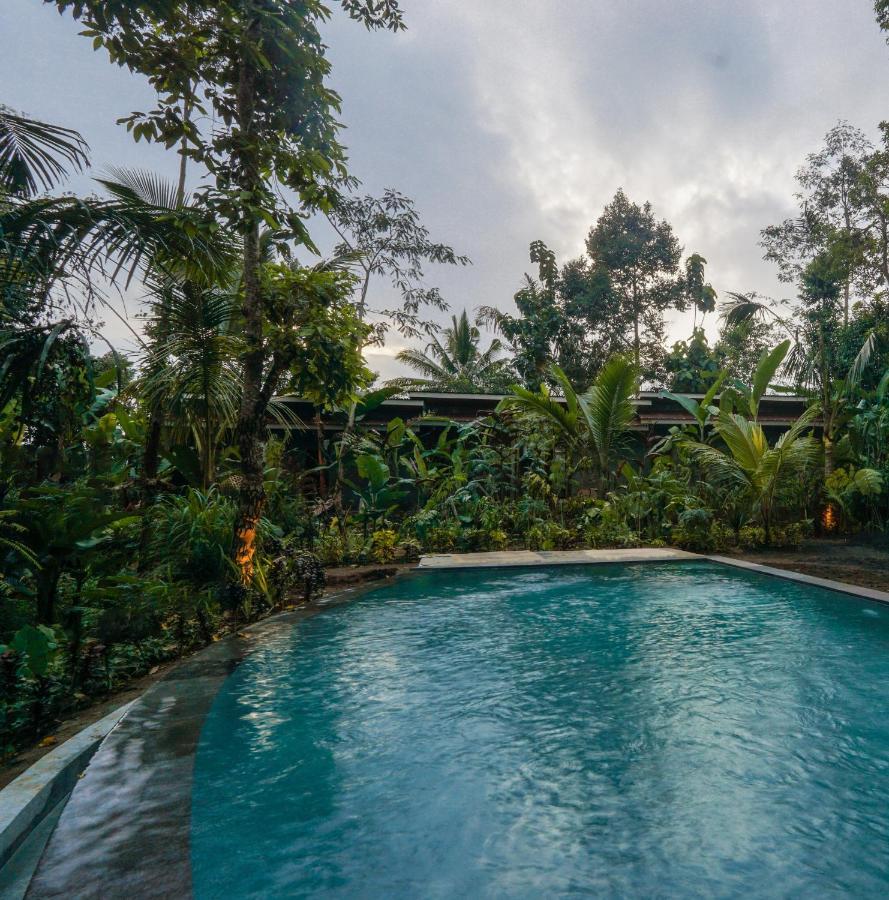 Daydream Lodge Tampaksiring Luaran gambar