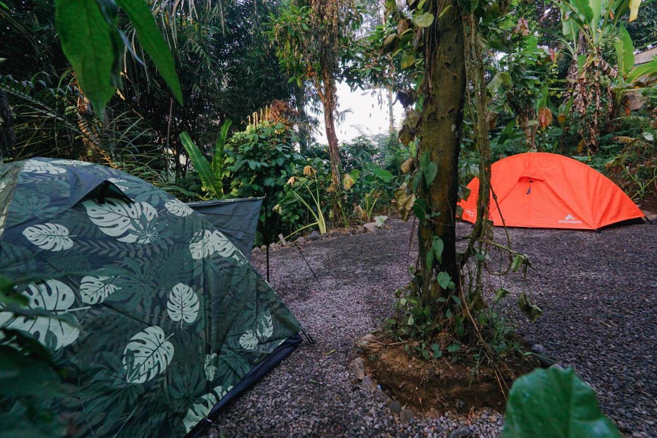 Daydream Lodge Tampaksiring Luaran gambar