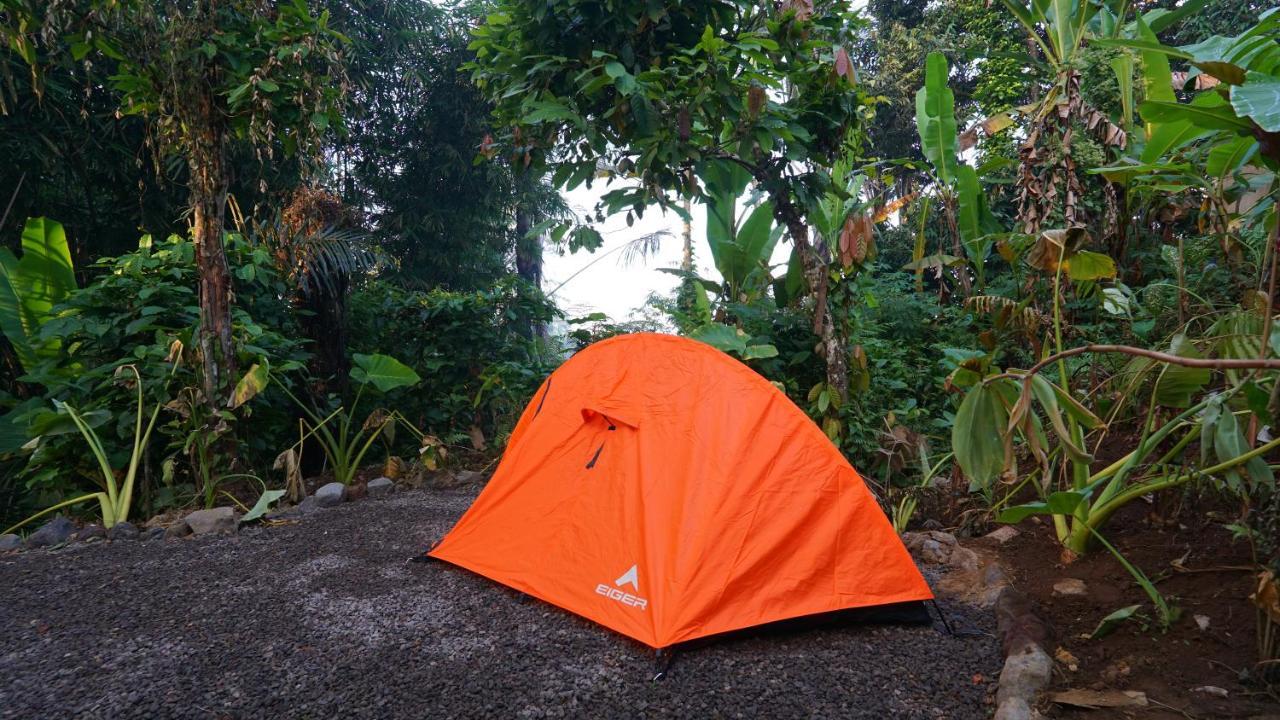 Daydream Lodge Tampaksiring Luaran gambar
