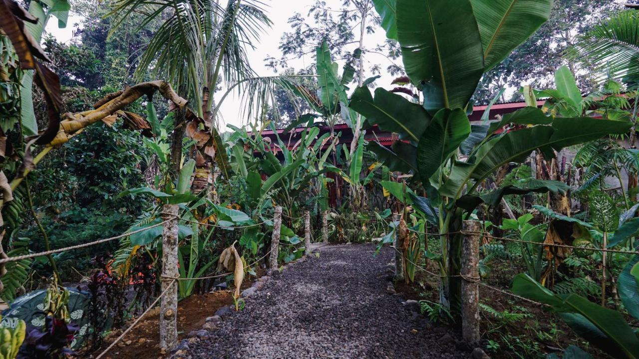 Daydream Lodge Tampaksiring Luaran gambar