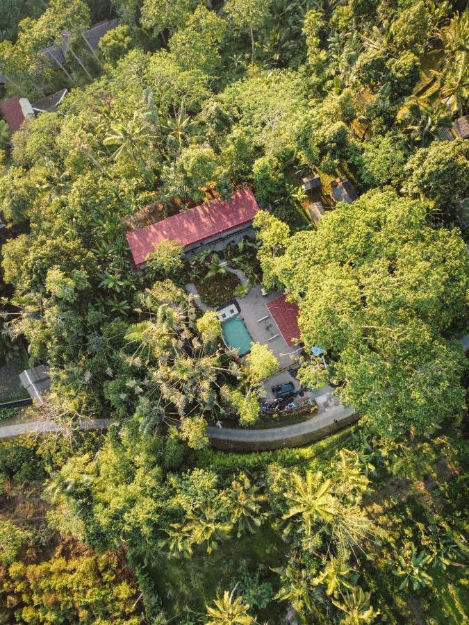 Daydream Lodge Tampaksiring Luaran gambar