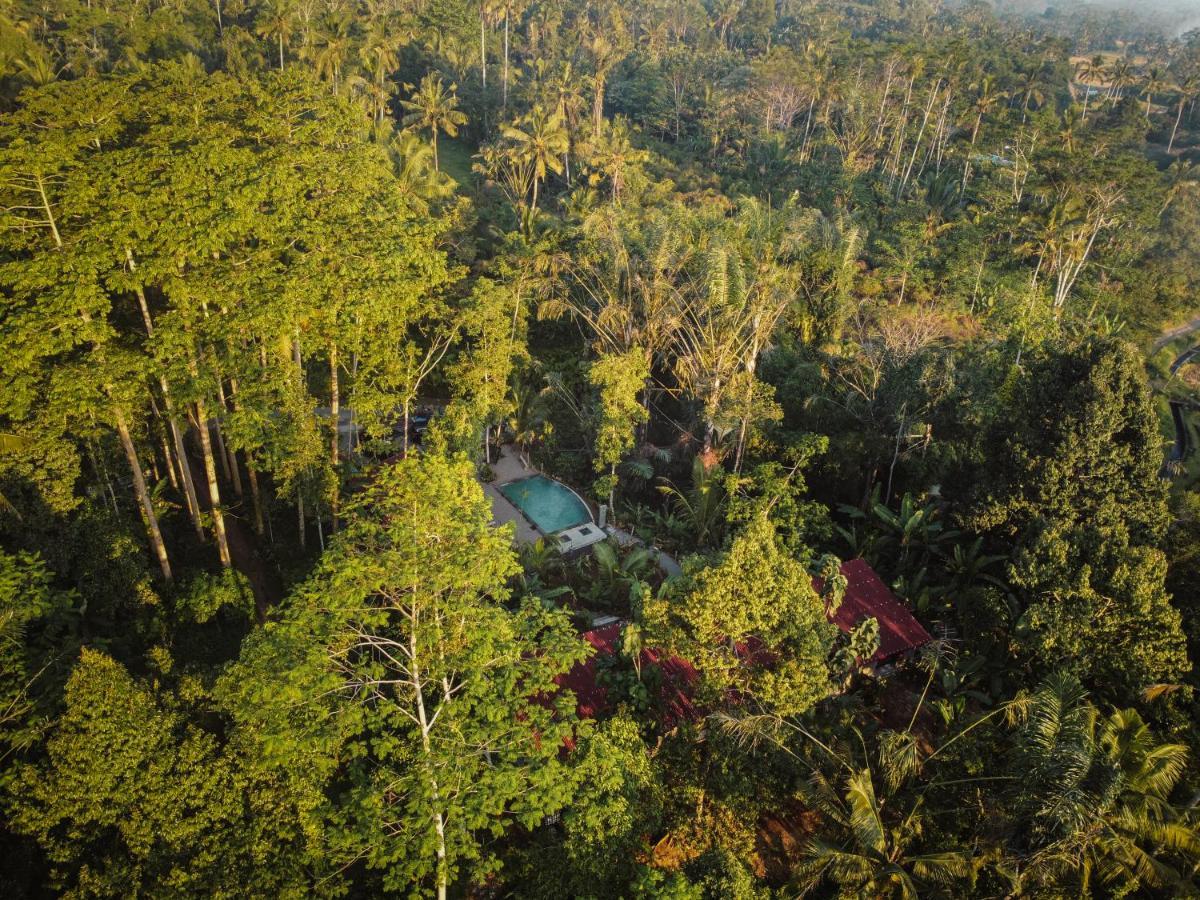 Daydream Lodge Tampaksiring Luaran gambar