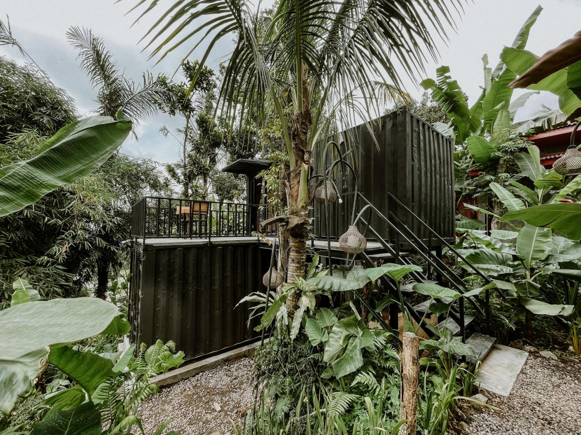 Daydream Lodge Tampaksiring Luaran gambar