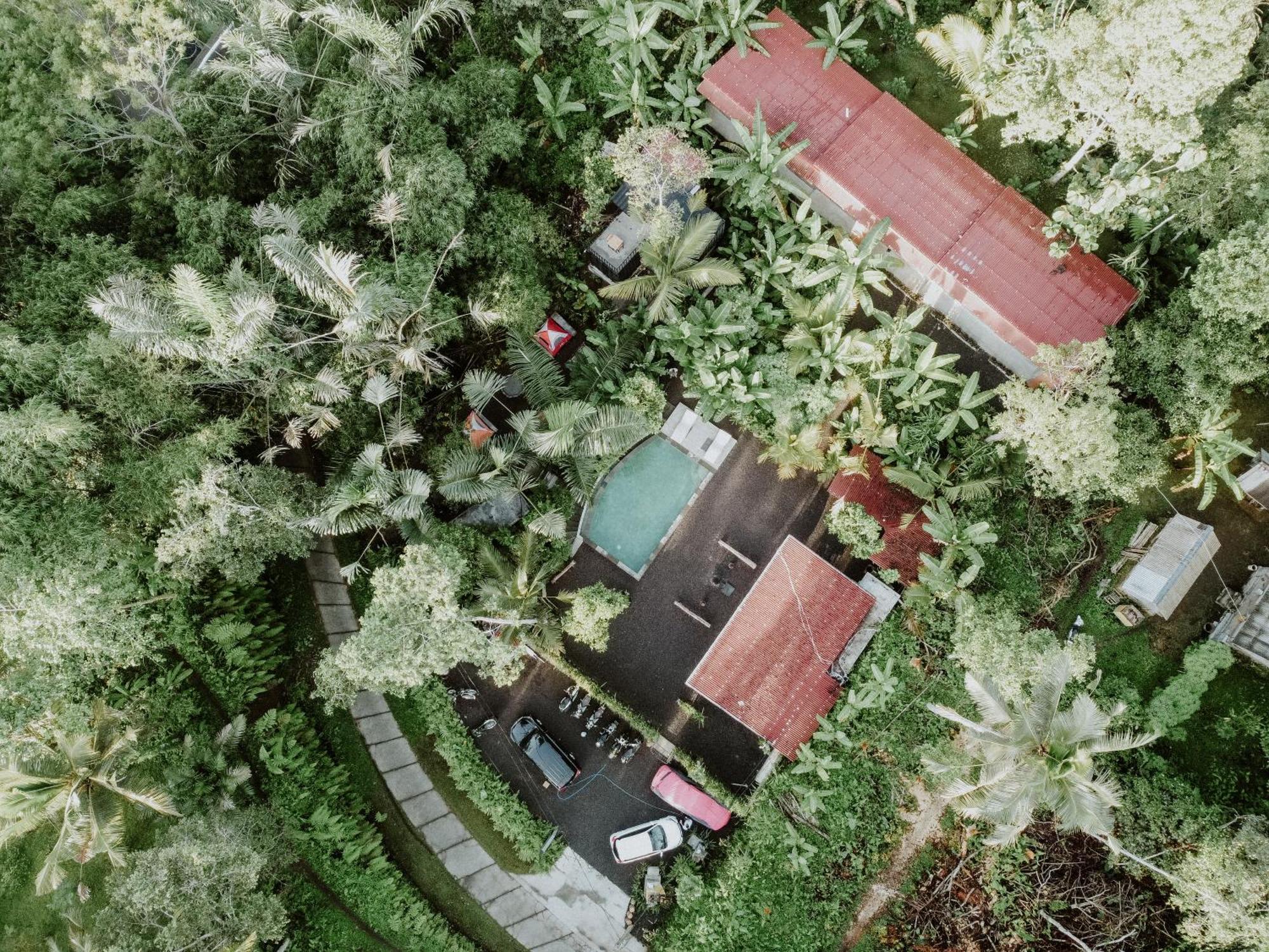 Daydream Lodge Tampaksiring Luaran gambar